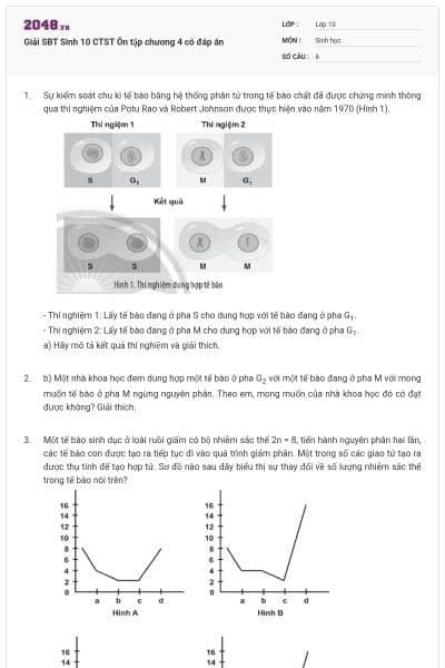 Giải SBT Sinh 10 CTST Ôn tập chương 4 có đáp án