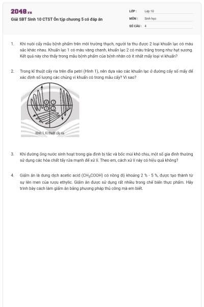 Giải SBT Sinh 10 CTST Ôn tập chương 5 có đáp án