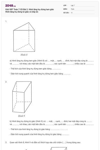 Giải VBT Toán 7 CD Bài 2. Hình lăng trụ đứng tam giác Hình lăng trụ đứng tứ giác có đáp án