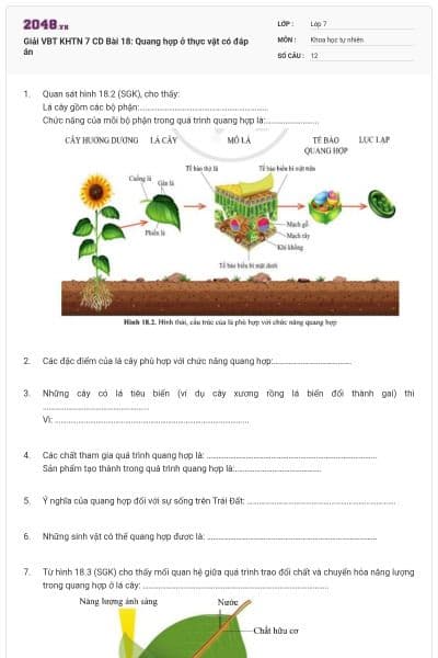 Giải VBT KHTN 7 CD Bài 18: Quang hợp ở thực vật có đáp án
