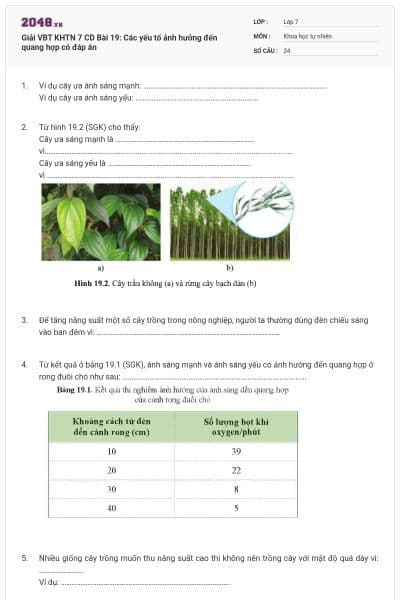 Giải VBT KHTN 7 CD Bài 19: Các yếu tố ảnh hưởng đến quang hợp có đáp án