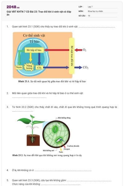 Giải VBT KHTN 7 CD Bài 23: Trao đổi khí ở sinh vật có đáp án