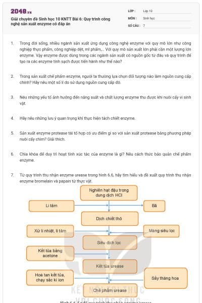 Giải chuyên đề Sinh học 10 KNTT Bài 6: Quy trình công nghệ sản xuất enzyme có đáp án