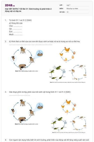 Giải VBT KHTN 7 CD Bài 31: Sinh trưởng và phát triển ở động vật có đáp án