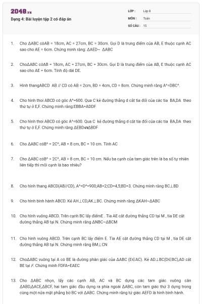 Dạng 4: Bài luyện tập 2 có đáp án