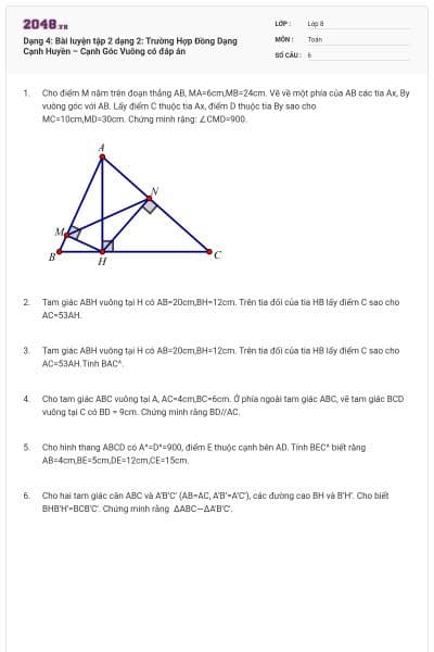 Dạng 4: Bài luyện tập 2 dạng 2: Trường Hợp Đồng Dạng Cạnh Huyền – Cạnh Góc Vuông có đáp án