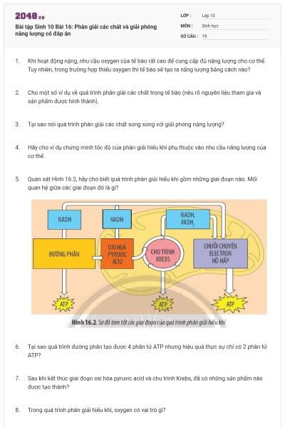 Bài tập Sinh 10 Bài 16: Phân giải các chất và giải phóng năng lượng có đáp án