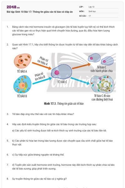 Bài tập Sinh 10 Bài 17: Thông tin giữa các tế bào có đáp án