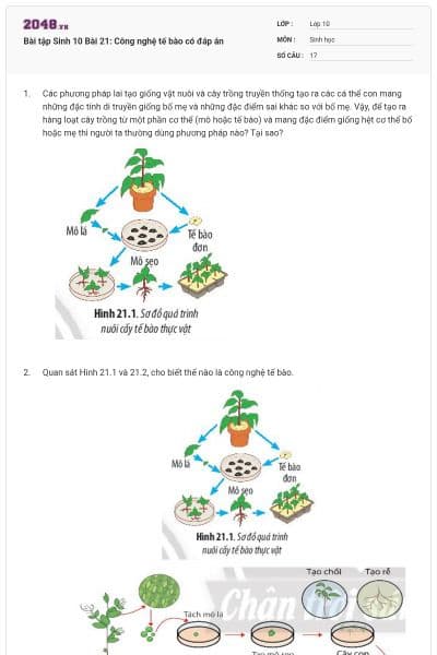 Bài tập Sinh 10 Bài 21: Công nghệ tế bào có đáp án