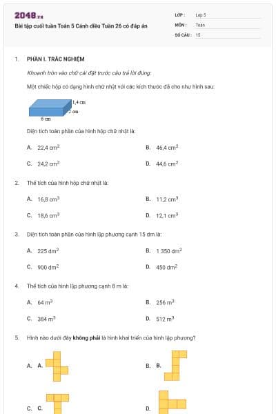 Bài tập cuối tuần Toán 5 Cánh diều Tuần 26 có đáp án