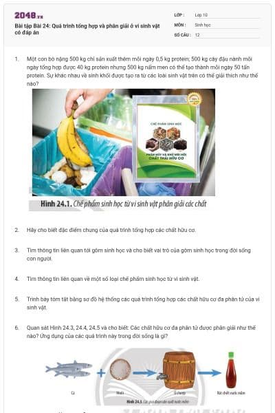 Bài tập Bài 24: Quá trình tổng hợp và phân giải ở vi sinh vật có đáp án