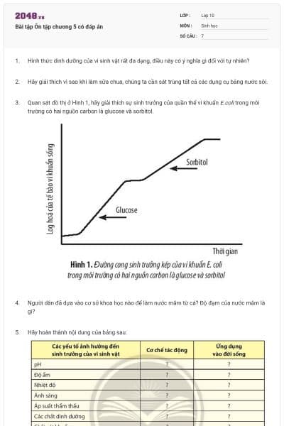 Bài tập Ôn tập chương 5 có đáp án