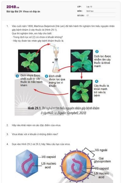Bài tập Bài 29: Virus có đáp án