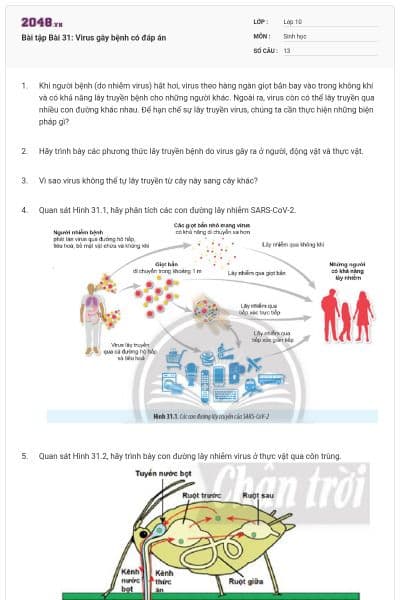 Bài tập Bài 31: Virus gây bệnh có đáp án