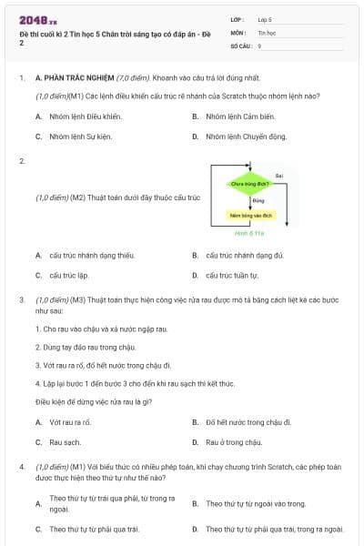 Đề thi cuối kì 2 Tin học 5 Chân trời sáng tạo có đáp án - Đề 2