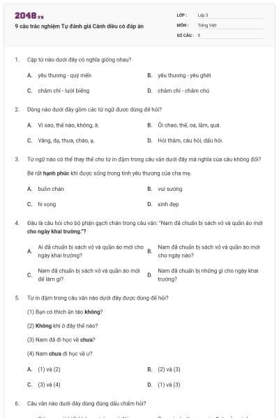 9 câu trắc nghiệm Tự đánh giá Cánh diều có đáp án