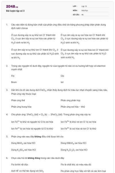 Bài luyện tập số 3