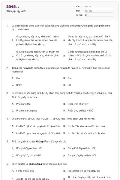 Bài luyện tập số 3