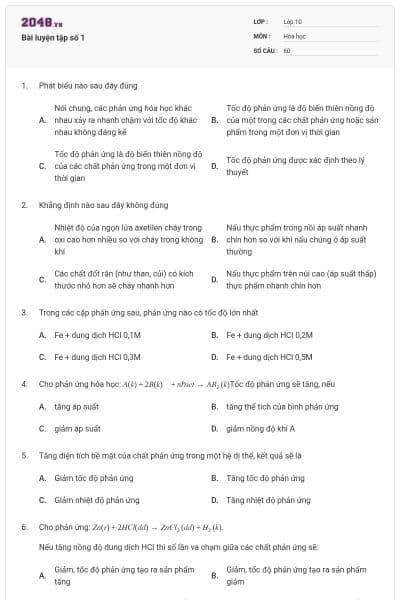 Bài luyện tập số 1