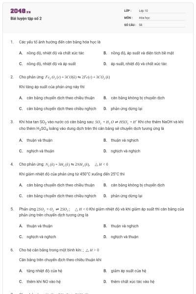 Bài luyện tập số 2