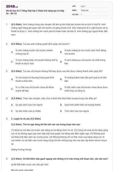 Đề thi học kì 2 Tiếng Việt lớp 5 Chân trời sáng tạo có đáp án - Đề 10