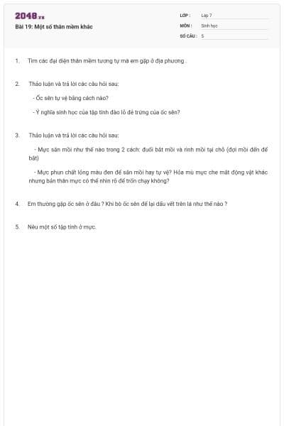 Bài 19: Một số thân mềm khác