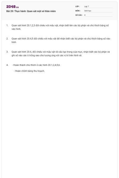 Bài 20: Thực hành: Quan sát một số thân mềm
