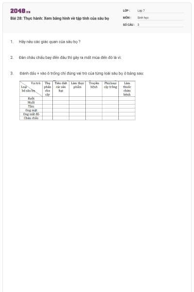 Bài 28: Thực hành: Xem băng hình về tập tính của sâu bọ