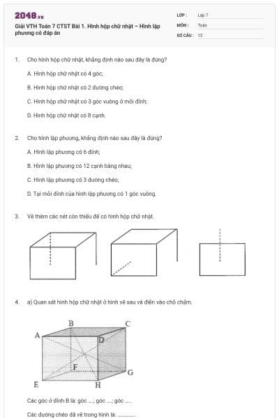 Giải VTH Toán 7 CTST Bài 1. Hình hộp chữ nhật – Hình lập phương có đáp án