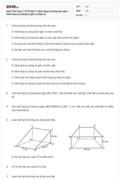 Giải VTH Toán 7 CTST Bài 3. Hình lăng trụ đứng tam giác. Hình lăng trụ đứng tứ giác có đáp án
