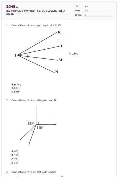Giải VTH Toán 7 CTST Bài 1. Các góc ở vị trí đặc biệt có đáp án