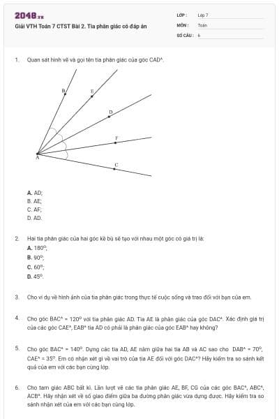 Giải VTH Toán 7 CTST Bài 2. Tia phân giác có đáp án
