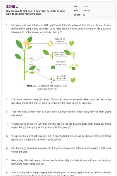 Giải Chuyên đề Sinh học 10 Cánh diều Bài 2: Cơ sở công nghệ tế bào thực vật và ứng dụng