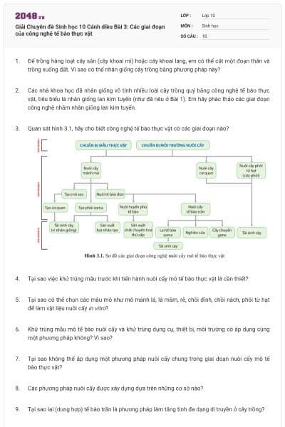Giải Chuyên đề Sinh học 10 Cánh diều Bài 3: Các giai đoạn của công nghệ tế bào thực vật