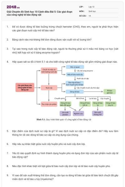 Giải Chuyên đề Sinh học 10 Cánh diều Bài 5: Các giai đoạn của công nghệ tế bào động vật