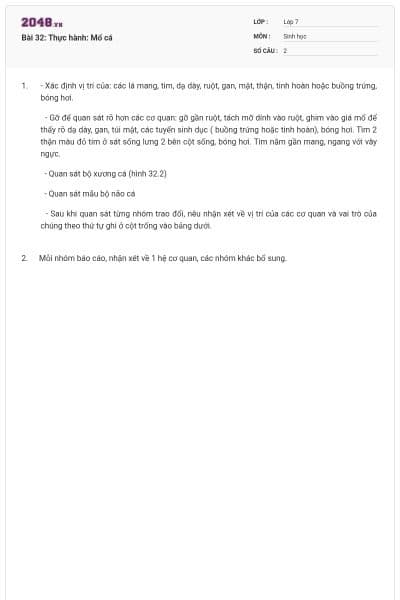 Bài 32: Thực hành: Mổ cá