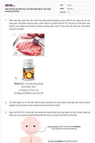 Giải Chuyên đề Sinh học 10 Cánh diều Bài 8: Sản xuất enzyme tự nhiên