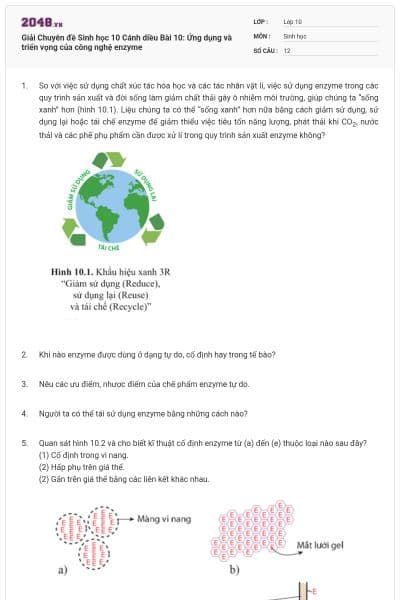 Giải Chuyên đề Sinh học 10 Cánh diều Bài 10: Ứng dụng và triển vọng của công nghệ enzyme