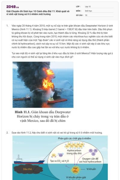 Giải Chuyên đề Sinh học 10 Cánh diều Bài 11: Khái quát về vi sinh vật trong xử lí ô nhiễm môi trường