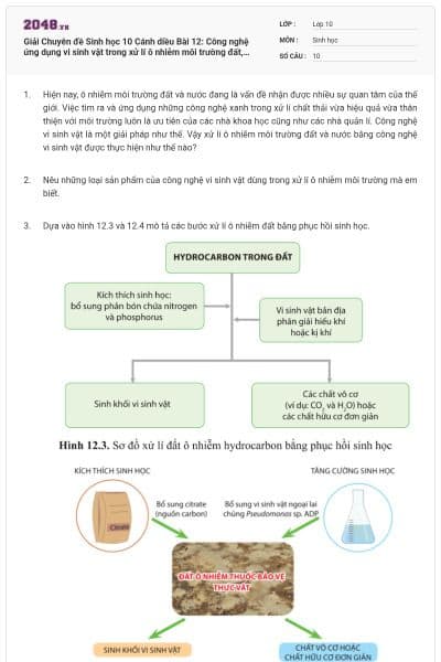 Giải Chuyên đề Sinh học 10 Cánh diều Bài 12: Công nghệ ứng dụng vi sinh vật trong xử lí ô nhiễm môi trường đất, nước