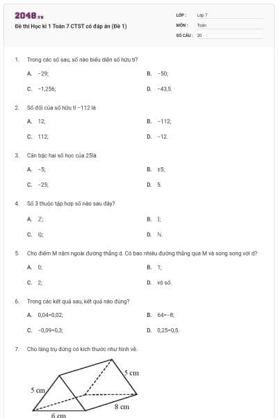 Đề thi Học kì 1 Toán 7 CTST có đáp án (Đề 1)