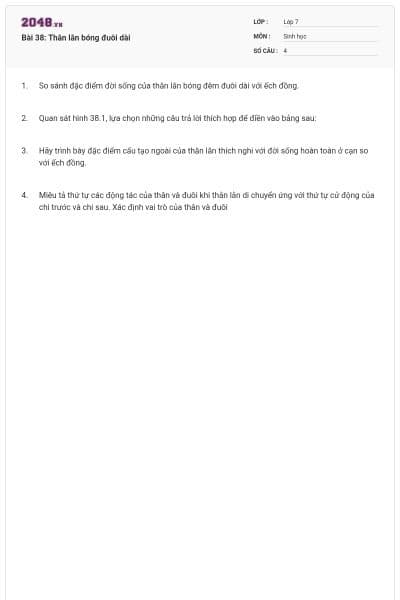 Bài 38: Thằn lằn bóng đuôi dài