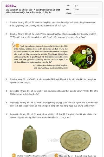 Giải SGK Lịch sử 6 CTST Bài 17: Đấu tranh bảo tồn và phát triển văn hóa dân tộc thời kì Bắc thuộc có đáp án