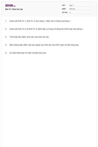 Bài 41: Chim bồ câu