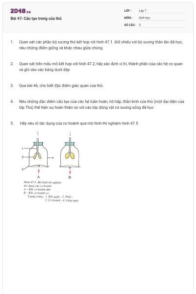 Bài 47: Cấu tạo trong của thỏ