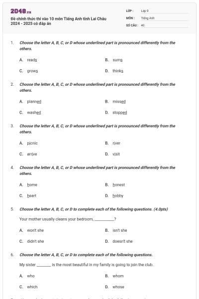 Đề chính thức thi vào 10 môn Tiếng Anh tỉnh Lai Châu 2024 - 2025 có đáp án
