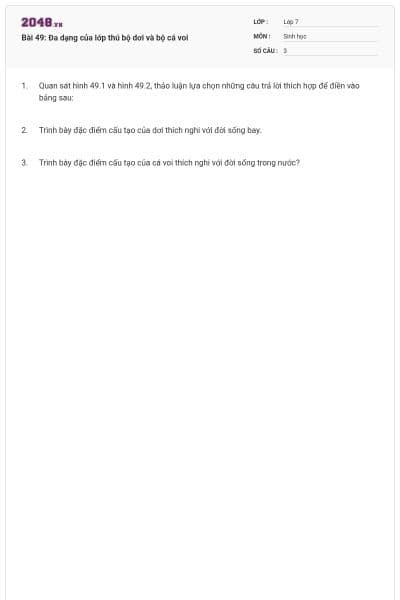 Bài 49: Đa dạng của lớp thú bộ dơi và bộ cá voi