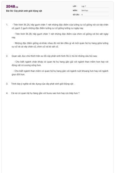 Bài 56: Cây phát sinh giới động vật