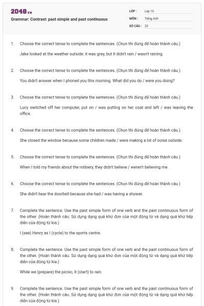 Grammar: Contrast: past simple and past continuous