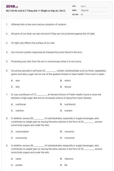 Bộ 5 đề thi cuối kì 2 Tiếng Anh 11 Bright có đáp án ( Đề 2)